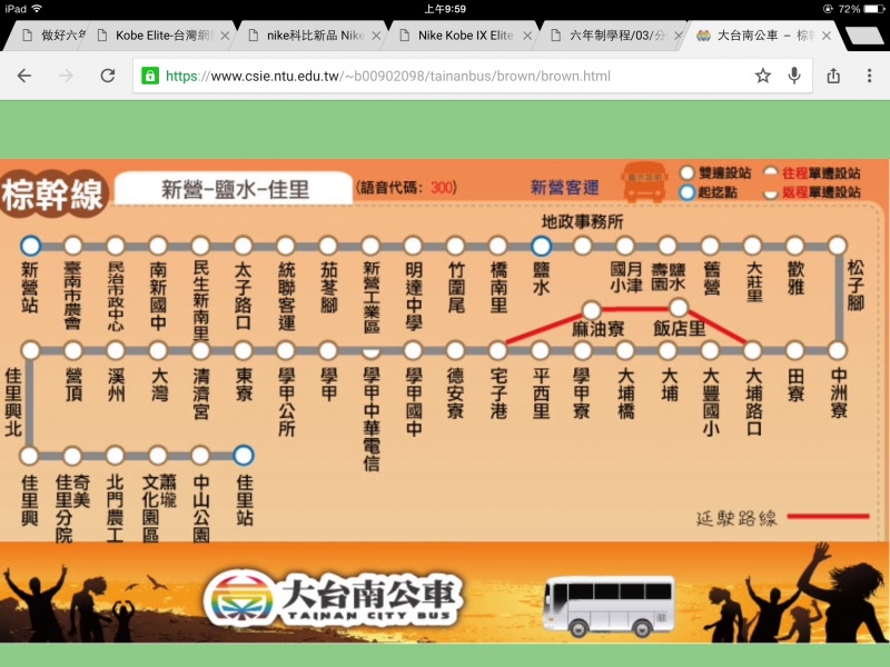檔案:棕幹線.jpg