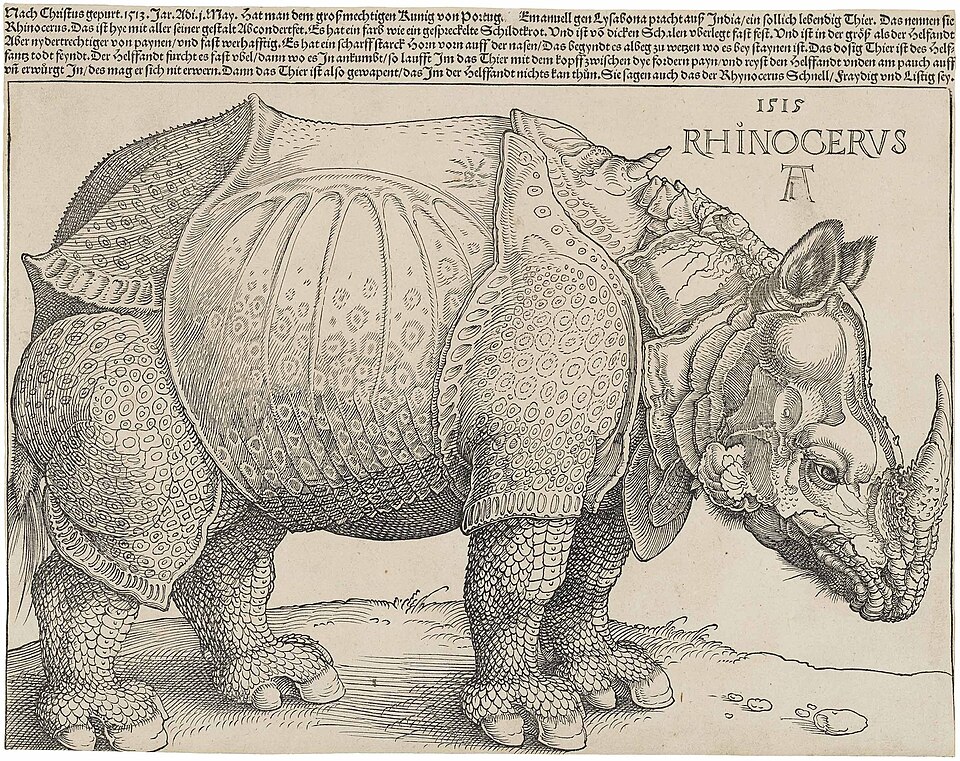 檔案:Dürer's Rhinoceros, 1515.jpg
