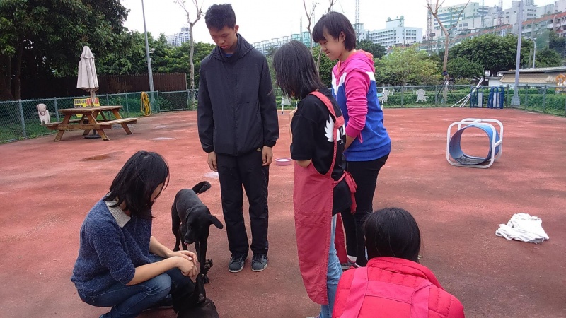 檔案:遛狗.jpg