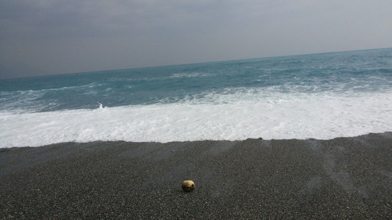 檔案:海邊2.jpg