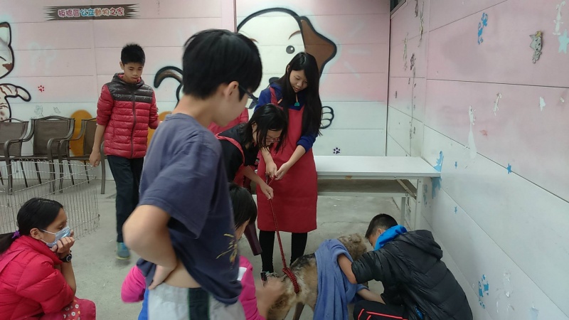 檔案:吹狗.jpg